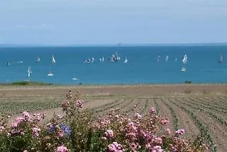 La Metairie-du-vauhariot - Vue Et Mont Saint Michel - Piscine Chauffee - Acces Gr34
